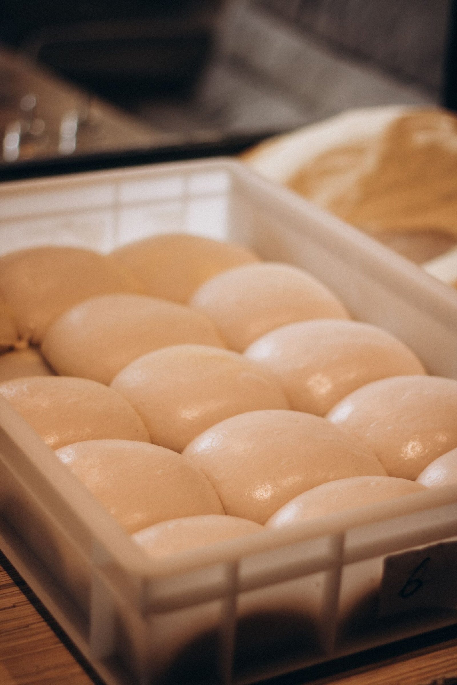 Fresh Dough Balls in Plastic Tray Ready for Baking