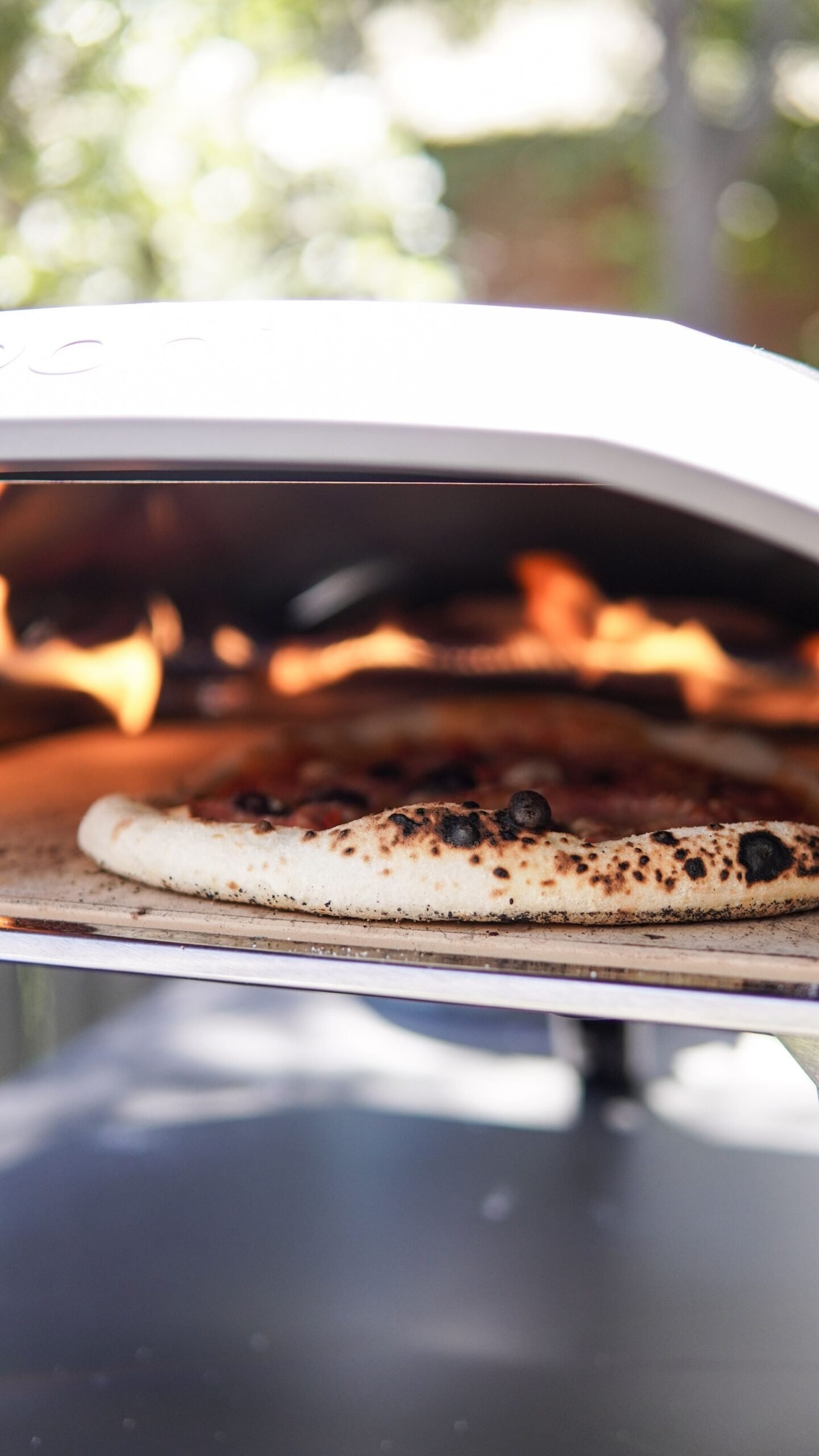 Cooking of Pizza in an Oven 